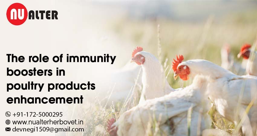poultry products enhancement